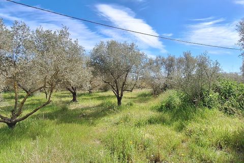 Finca i Mora D'ebre, Tarragona, Mora D'ebre - € 159.000 | Ref: CC840 - foto 28
